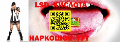 ПСИЛОЦИБИНОВЫЕ ГРИБЫ Пушкино