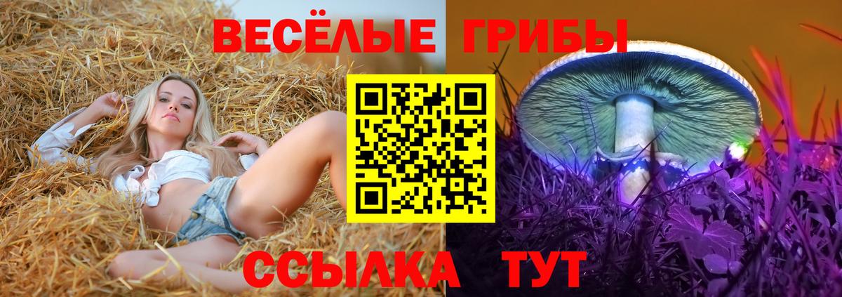 Галлюциногенные грибы мухоморы Россошь