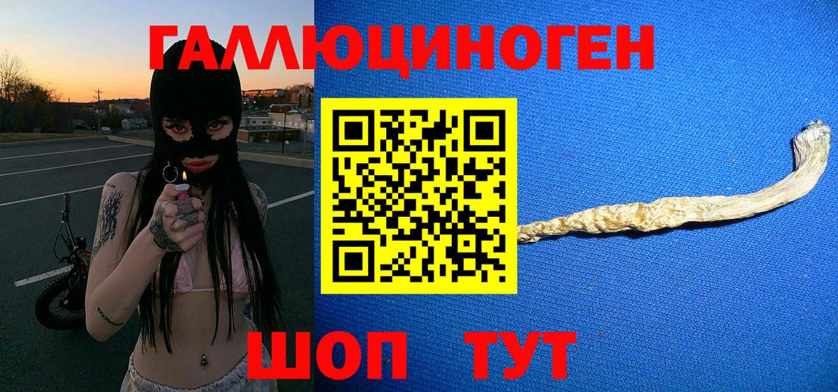 Псилоцибиновые грибы Psilocybe  Вход с VPN  Россошь 