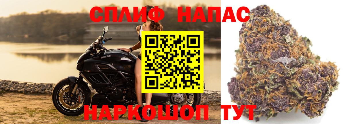 Бошки Шишки MAZAR Россошь